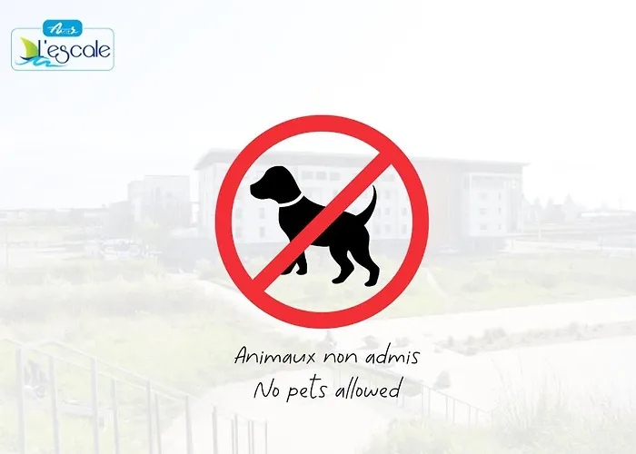 L'escale Auberge de jeunesse